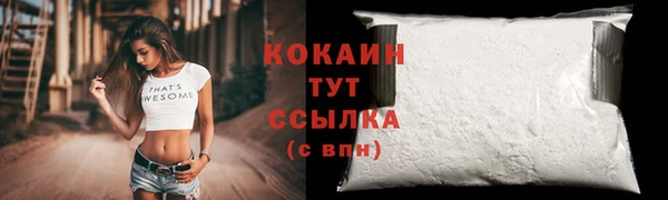 ПСИЛОЦИБИНОВЫЕ ГРИБЫ Медногорск